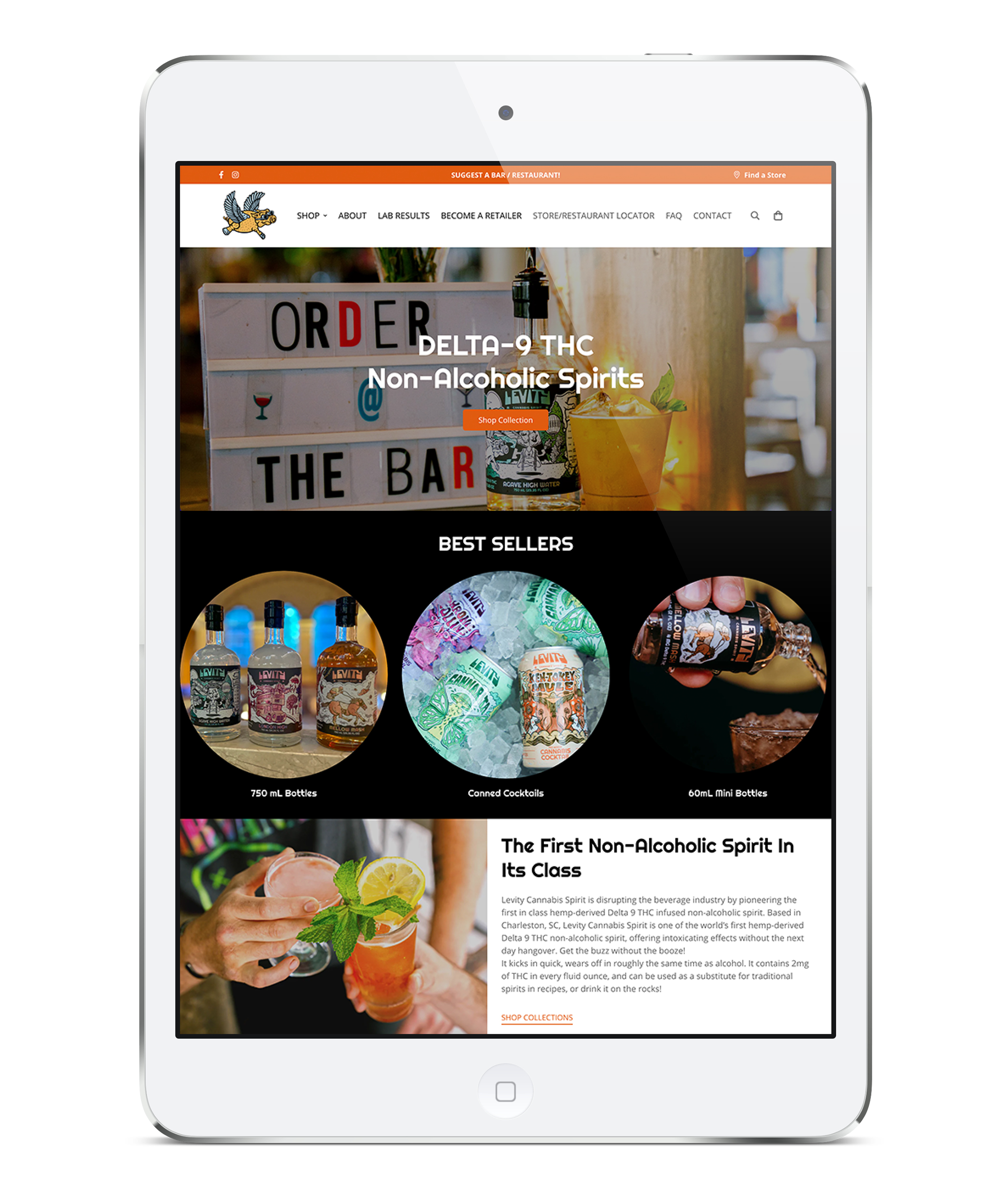 Levity Website responsive design and development by abreeze digital marketing