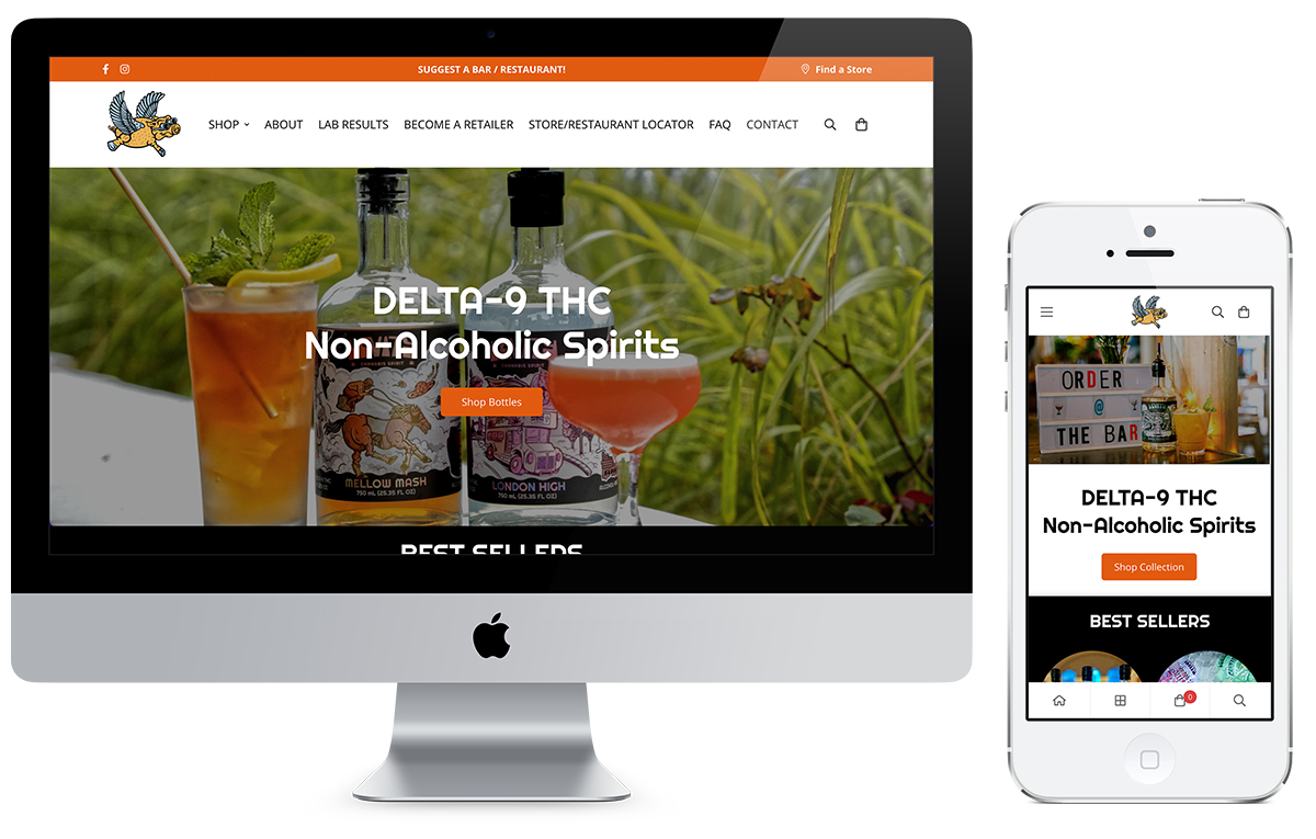 Levity Website design and development by abreeze digital marketing